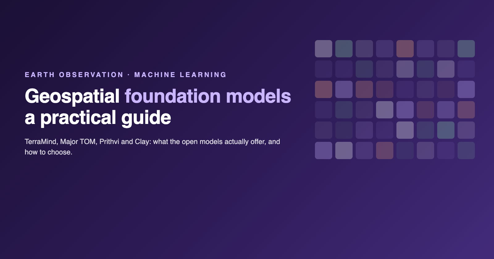 Ein praktischer Leitfaden zu geospatialen Foundation Models