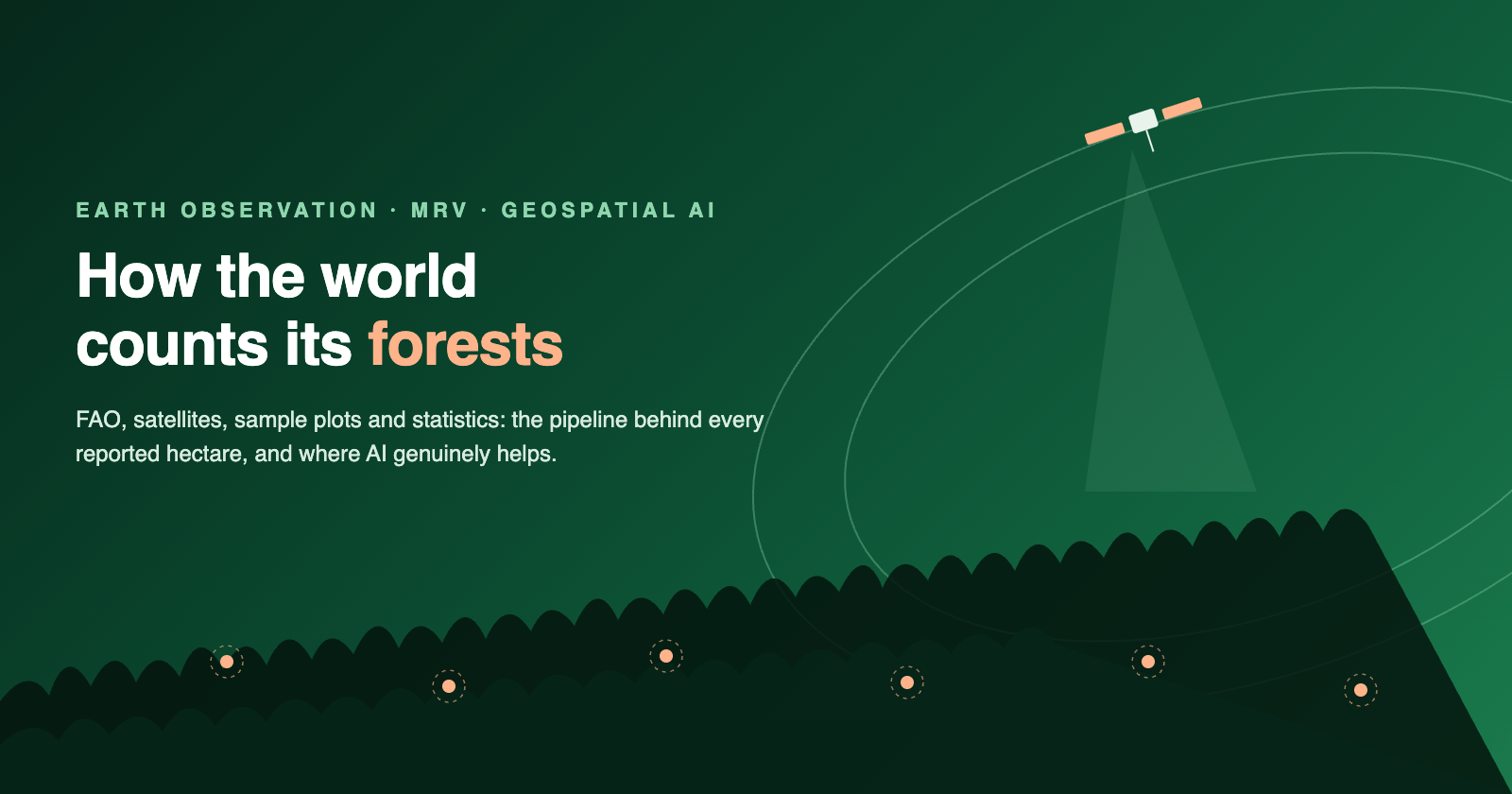 Wie die Welt ihre Wälder zählt: FAO, Satelliten und die Wissenschaft der Waldbeobachtung